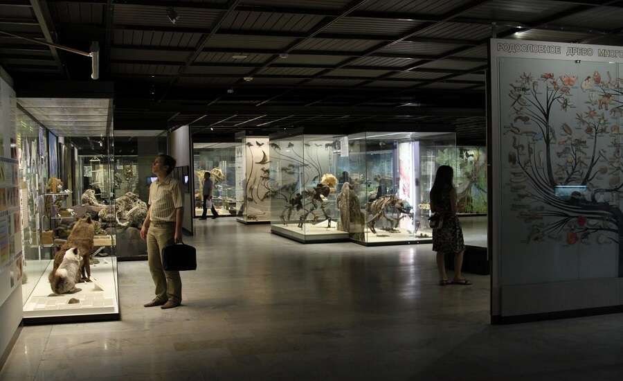 State Darwin Museum